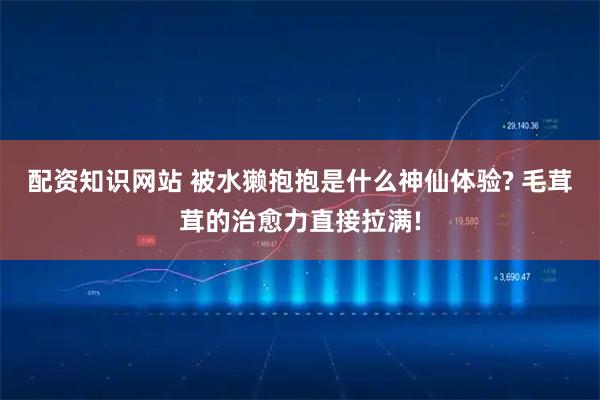 配资知识网站 被水獭抱抱是什么神仙体验? 毛茸茸的治愈力直接拉满!