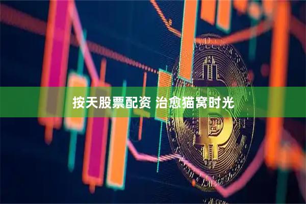 按天股票配资 治愈猫窝时光